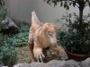 Filename=PIC00004~0.jpg
Filesize=43KB
Dimensions=400x300
Date added=Aug 21, 2004 PIC00004~0.jpg