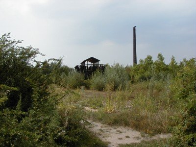 Keywords: Bad Oeyenhausen Aqua Magica Wasser Landesgartenschau Park Naherholung