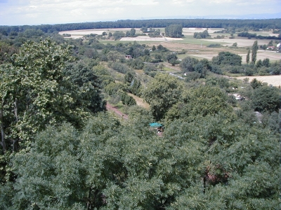 Vom Turm, Blick Ã¼ber Dietzenbach
Keywords: Dietzenbach Rundgang Spaziergang Aussichtsturm Umgebung
