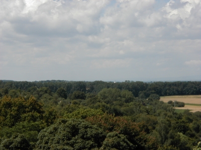 Vom Turm, Umgebung
Keywords: Dietzenbach Rundgang Spaziergang Aussichtsturm Umgebung