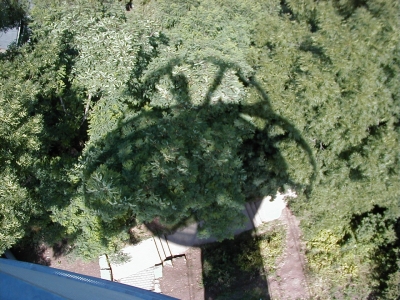 Vom Turm, Schatten in den Baumwipfeln
Keywords: Dietzenbach Rundgang Spaziergang Aussichtsturm Schatten Baumwipfel
