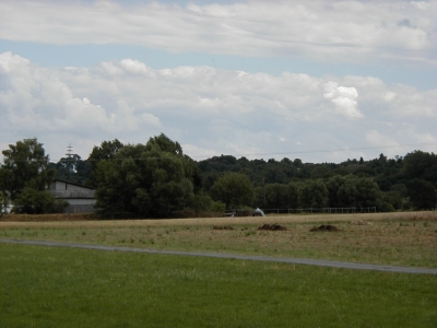 Vom Wingertsberg
Keywords: Dietzenbach Rundgang Spaziergang Aussichtsturm