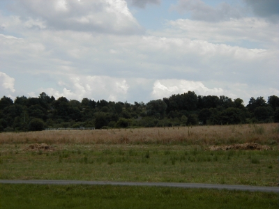 Vom Wingertsberg
Keywords: Dietzenbach Rundgang Spaziergang Aussichtsturm Wingertsberg