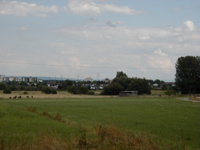 Vom Wingertsberg
Keywords: Dietzenbach Rundgang Spaziergang Aussichtsturm