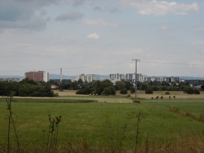 Vom Wingertsberg
Keywords: Dietzenbach Rundgang Spaziergang Aussichtsturm Wingertsberg