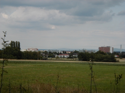 Vom Wingertsberg
Keywords: Dietzenbach Rundgang Spaziergang Aussichtsturm Wingertsberg