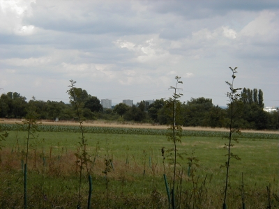 Vom Wingertsberg
Keywords: Dietzenbach Rundgang Spaziergang Aussichtsturm