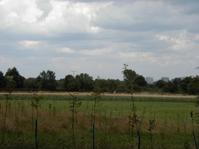 Vom Wingertsberg
Keywords: Dietzenbach Rundgang Spaziergang Aussichtsturm Wingertsberg