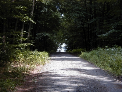 Waldweg
Keywords: Dietzenbach Rundgang Spaziergang Aussichtsturm Waldweg