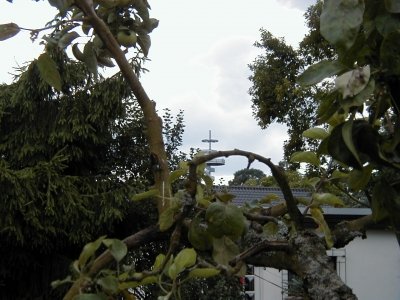 Von der Frankfurter StraÃŸe
Keywords: Dietzenbach Rundgang Spaziergang Aussichtsturm Frankfurter StraÃŸe