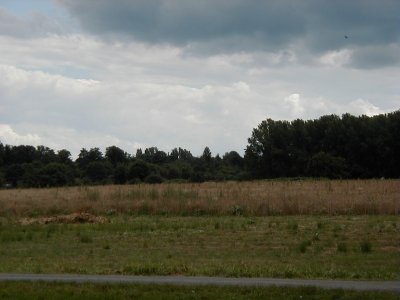 Vom Wingertsberg
Keywords: Dietzenbach Rundgang Spaziergang Aussichtsturm