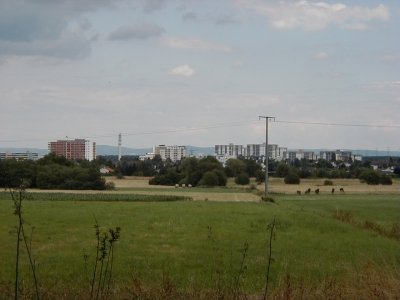 Vom Wingertsberg
Keywords: Dietzenbach Rundgang Spaziergang Aussichtsturm Wingertsberg