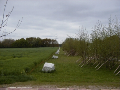 Geschichtspfad
Keywords: Dietzenbach Rundgang Spaziergang FrÃ¼hling Geschichtspfad