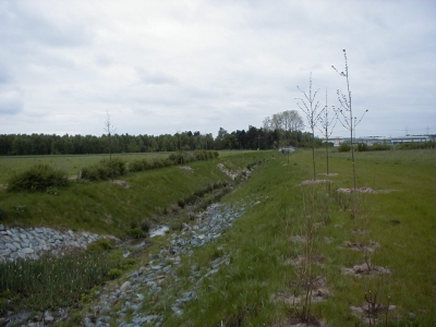 Im weiÃŸen Gras
Keywords: Dietzenbach Rundgang Spaziergang FrÃ¼hling Im weiÃŸen Gras