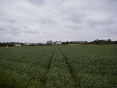 Im weiÃŸen Gras
Keywords: Dietzenbach Rundgang Spaziergang FrÃ¼hling Im weiÃŸen Gras
