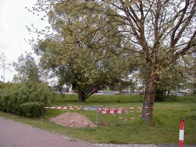 Offenbacher StraÃŸe Hinter dem Rathaus
Keywords: Dietzenbach Rundgang Spaziergang FrÃ¼hling Offenbacher StraÃŸe Rathaus