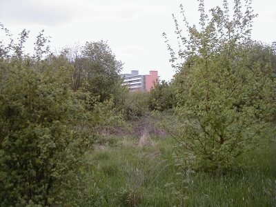 VÃ©lizystraÃŸe - Offenbacher StraÃŸe
Keywords: Dietzenbach Rundgang Spaziergang FrÃ¼hling VÃ©lizystraÃŸe Offenbacher StraÃŸe