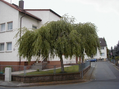 AuestraÃŸe
Keywords: Dietzenbach Rundgang Spaziergang FrÃ¼hling AuestraÃŸe