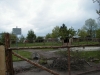 Filename=PIC00117.JPG
Filesize=97KiB
Dimensions=400x300
Date added=Jun 25, 2009 PIC00117.JPG