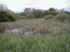 Filename=PIC00125.JPG
Filesize=116KiB
Dimensions=400x300
Date added=Jun 25, 2009 PIC00125.JPG