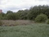 Filename=PIC00126.JPG
Filesize=101KiB
Dimensions=400x300
Date added=Jun 25, 2009 PIC00126.JPG