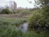 Filename=PIC00127.JPG
Filesize=130KiB
Dimensions=400x300
Date added=Jun 25, 2009 PIC00127.JPG