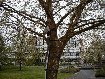 Offenbacher StraÃŸe Hinter dem Rathaus
Keywords: Dietzenbach Rundgang Spaziergang FrÃ¼hling Offenbacher StraÃŸe Rathaus