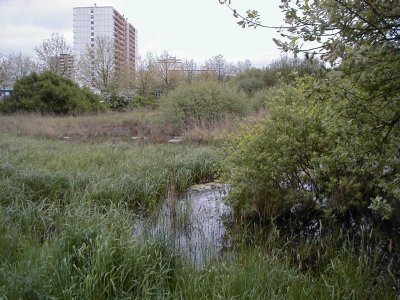 VÃ©lizystraÃŸe - Offenbacher StraÃŸe
Keywords: Dietzenbach Rundgang Spaziergang FrÃ¼hling VÃ©lizystraÃŸe Offenbacher StraÃŸe