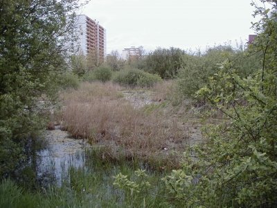 VÃ©lizystraÃŸe - Offenbacher StraÃŸe
Keywords: Dietzenbach Rundgang Spaziergang FrÃ¼hling VÃ©lizystraÃŸe Offenbacher StraÃŸe