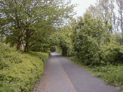 VÃ©lizystraÃŸe
Keywords: Dietzenbach Rundgang Spaziergang FrÃ¼hling VÃ©lizystraÃŸe