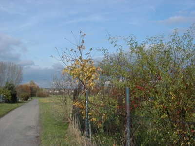 FeldstraÃŸe
Keywords: Dietzenbach Rundgang Spaziergang Herbst FeldstraÃŸe