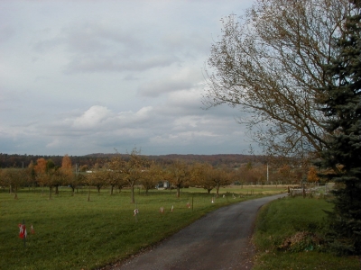 Wingertsberg
Keywords: Dietzenbach Rundgang Spaziergang Herbst Wingertsberg