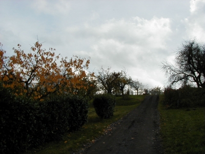 Wingertsberg
Keywords: Dietzenbach Rundgang Spaziergang Herbst Wingertsberg