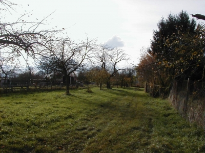 Wingertsberg
Keywords: Dietzenbach Rundgang Spaziergang Herbst Wingertsberg