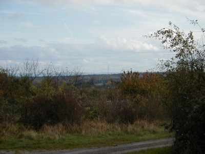 Wingertsberg
Keywords: Dietzenbach Rundgang Spaziergang Herbst Wingertsberg