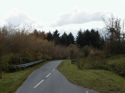 GÃ¶tzenhainer StraÃŸe - Kreisquerverbindung
Keywords: Dietzenbach Rundgang Spaziergang Herbst GÃ¶tzenhainer StraÃŸe Kreisquerverbindung