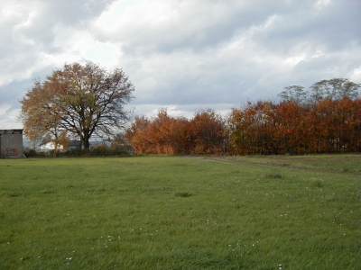 Kreisquerverbindung
Keywords: Dietzenbach Rundgang Spaziergang Herbst Kreisquerverbindung