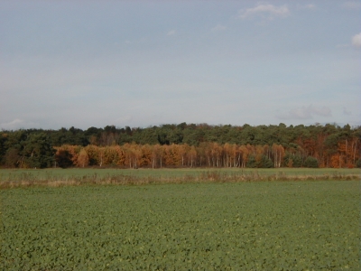 Kreisquerverbindung
Keywords: Dietzenbach Rundgang Spaziergang Herbst Kreisquerverbindung