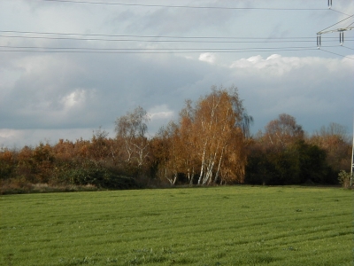 Ober Rodener StraÃŸe
Keywords: Dietzenbach Rundgang Spaziergang Herbst Ober Rodener StraÃŸe