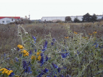 Gewerbegebiet Steinberg - WaldstraÃŸe
Keywords: Dietzenbach Rundgang Spaziergang Herbst