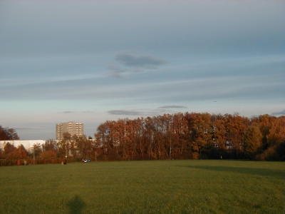 Steinberg
Keywords: Dietzenbach Rundgang Spaziergang Herbst Steinberg