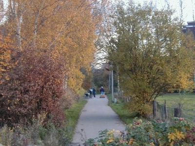 Stadtpark
Keywords: Dietzenbach Rundgang Spaziergang Herbst Stadtpark