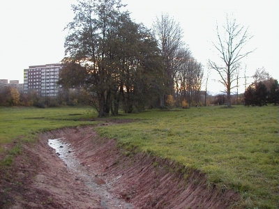 Stadtpark
Keywords: Dietzenbach Rundgang Spaziergang Herbst Stadtpark