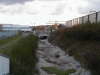 PB050122.JPG