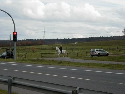 Kreisquerverbindung
Keywords: Dietzenbach Rundgang Spaziergang Herbst Kreisquerverbindung