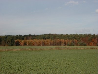 Kreisquerverbindung
Keywords: Dietzenbach Rundgang Spaziergang Herbst Kreisquerverbindung
