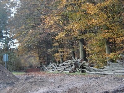 Sandhorst
Keywords: Dietzenbach Rundgang Spaziergang Herbst Sandhorst