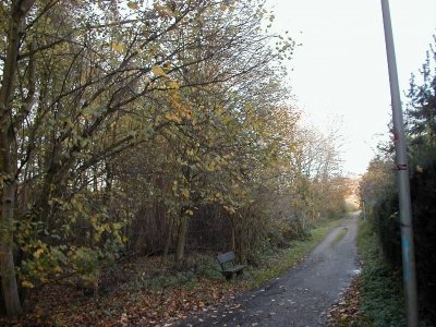 Steinberg - EtruskerstraÃŸe
Keywords: Dietzenbach Rundgang Spaziergang Herbst Steinberg EtruskerstraÃŸe