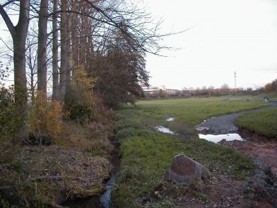 Stadtpark
Keywords: Dietzenbach Rundgang Spaziergang Herbst Stadtpark