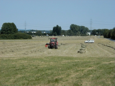 Kreisquerverbindung
Keywords: Dietzenbach Rundgang Spaziergang Sommer Kreisquerverbindung